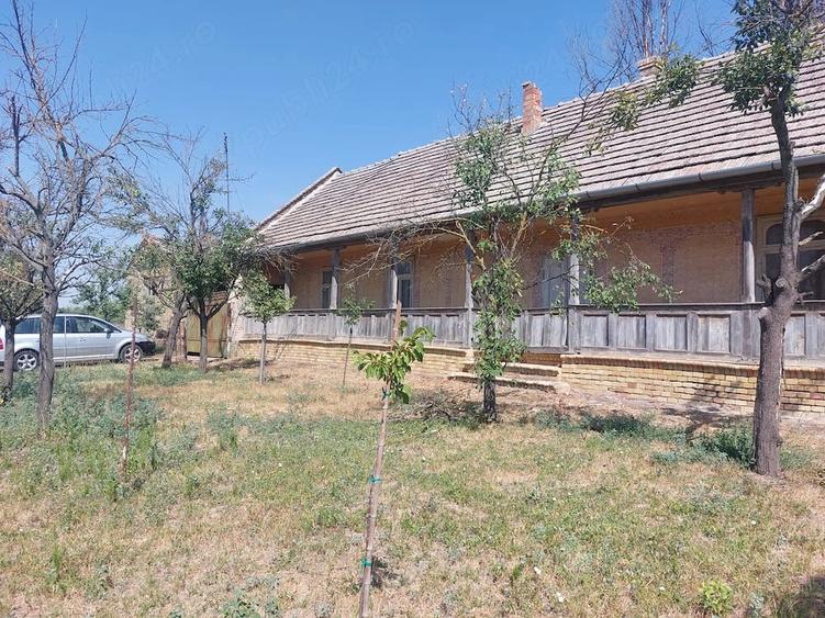 Casă cu 6 camere cu Teren 1480 Mp în Iecea Mare