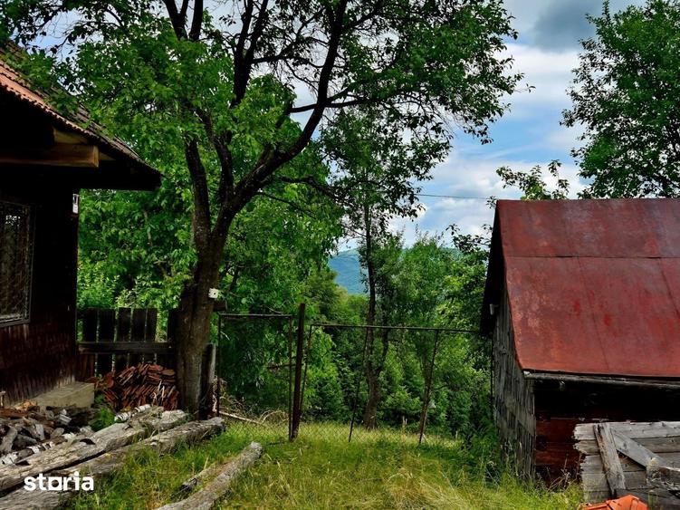 Teren de 21537 mp, în Noua