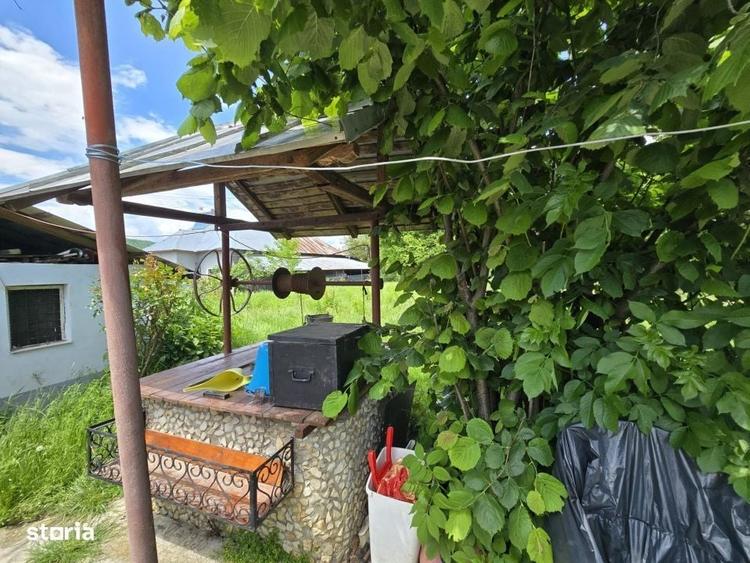 Casă cu 4 camere cu Teren 3450 Mp în Mușătești