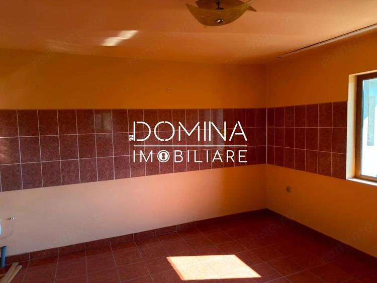 Casă cu Teren 3029 Mp în Săcelu