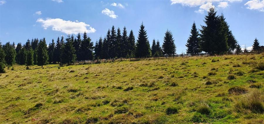 Teren Construcții de 1350 mp, în Beliș