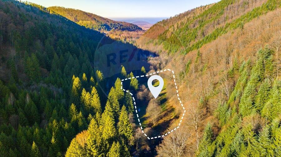Teren Construcții intravilan de 17939 mp, în Recea