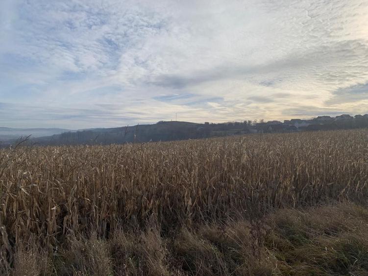 Teren Construcții intravilan de 7800 mp, în Est