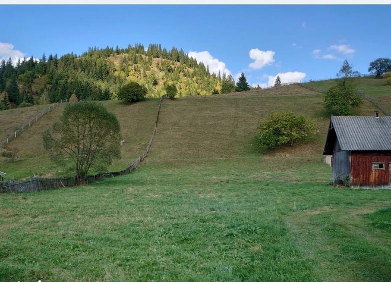 Teren Construcții intravilan de 1724 mp, în Ortoaia