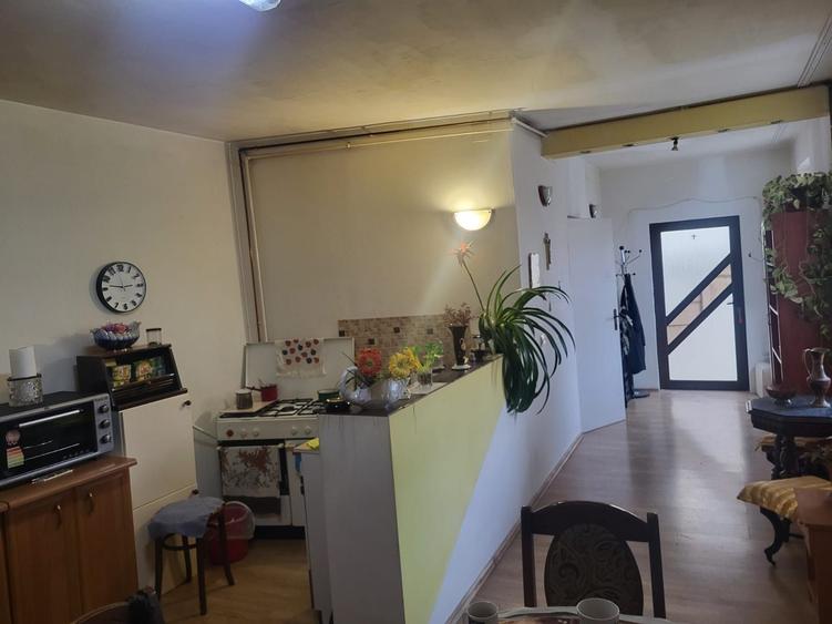 Casă cu 4 camere în Terezian