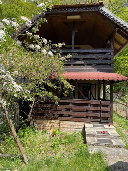 Casă cu 2 camere în Pădurea Neagră