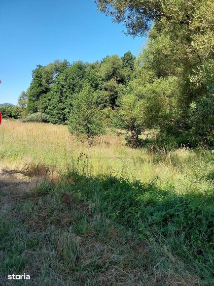 Teren de 5012 mp, în Mehadia