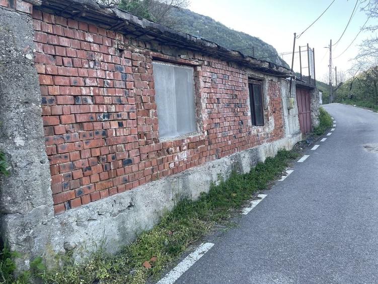 Casă cu 3 camere în Mehadia