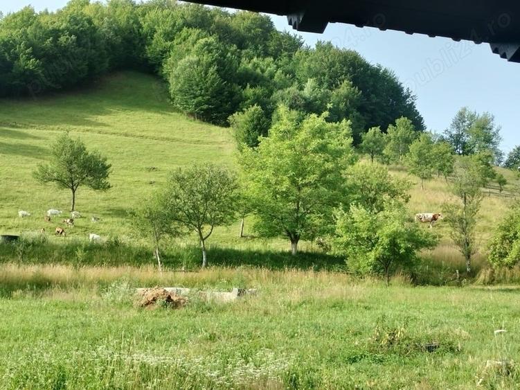 Teren de 3562 mp, în Vața de Sus