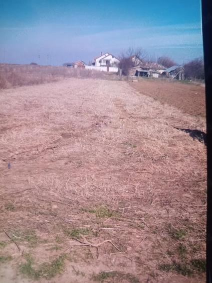 Teren de 1000 mp, în Coșoveni