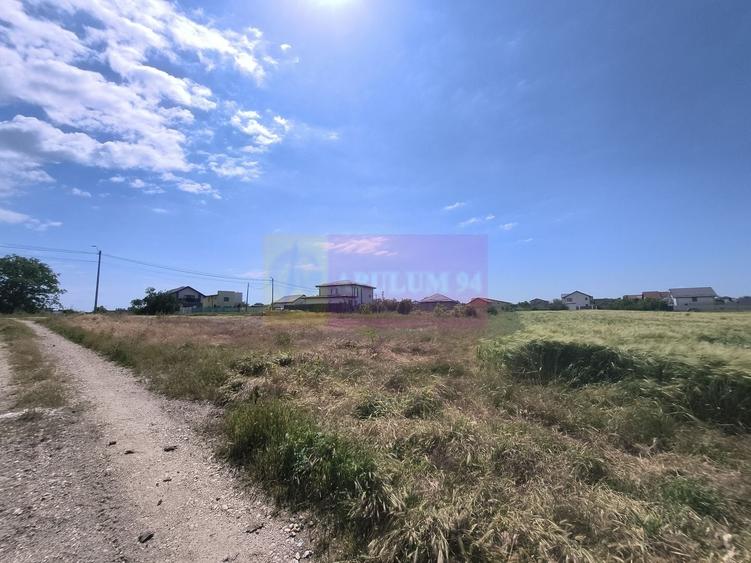 Teren Construcții intravilan de 1167 mp, în 1 Decembrie