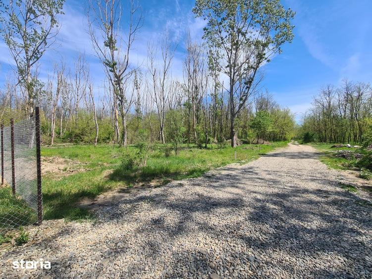 Teren de 5300 mp, în Central