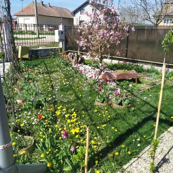 Casă individuală cu 6 camere cu Teren 3500 Mp în Florești