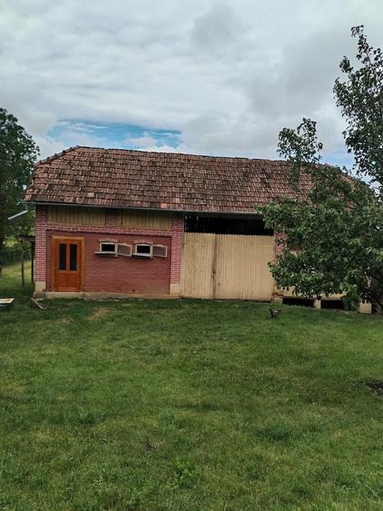 Casă cu 2 camere cu Teren 6000 Mp în Lechincioara