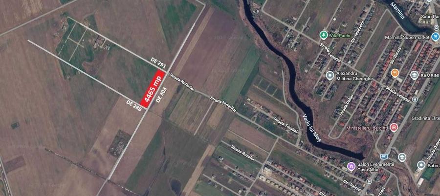 Teren 4465 mp Str. Nuferilor, Vidra - Berceni, Ilfov - 1