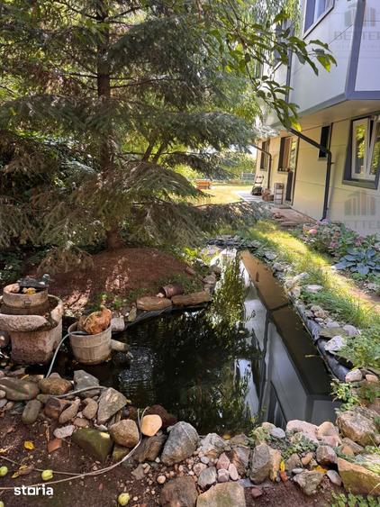 Apartament 2 camere decomandat, cu curte, Drumul Fermei - 5