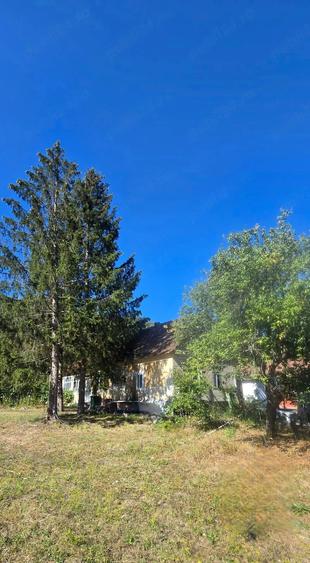 Casă cu Teren 2300 Mp în Buzad