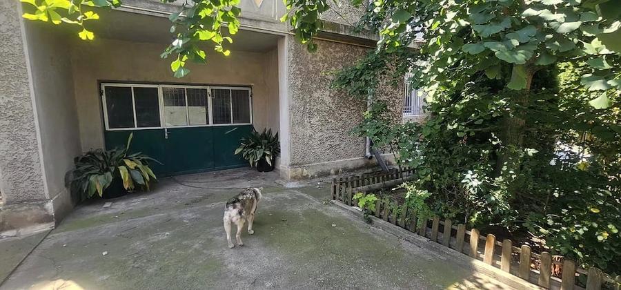 Casă cu Teren 365 Mp în Central
