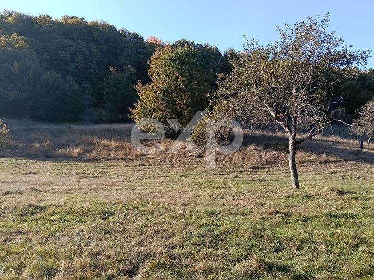 Teren Construcții extravilan de 3700 mp, în Vulturești