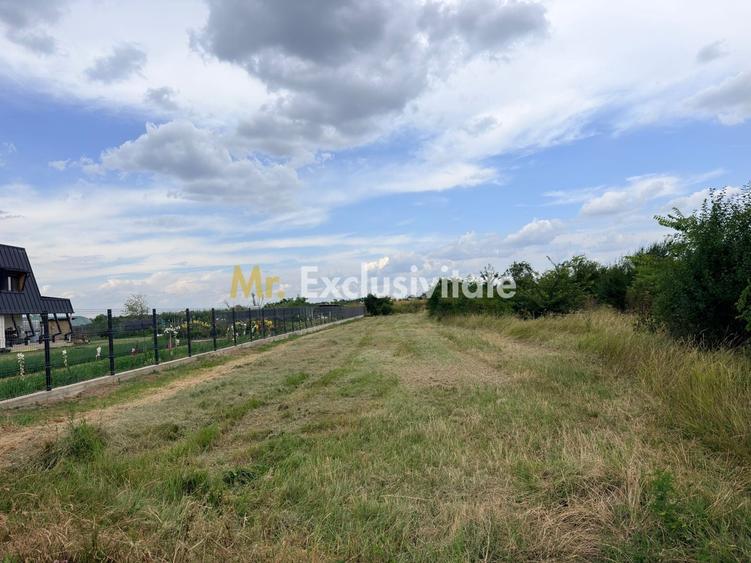 Teren Construcții intravilan de 1374 mp, în Bradu