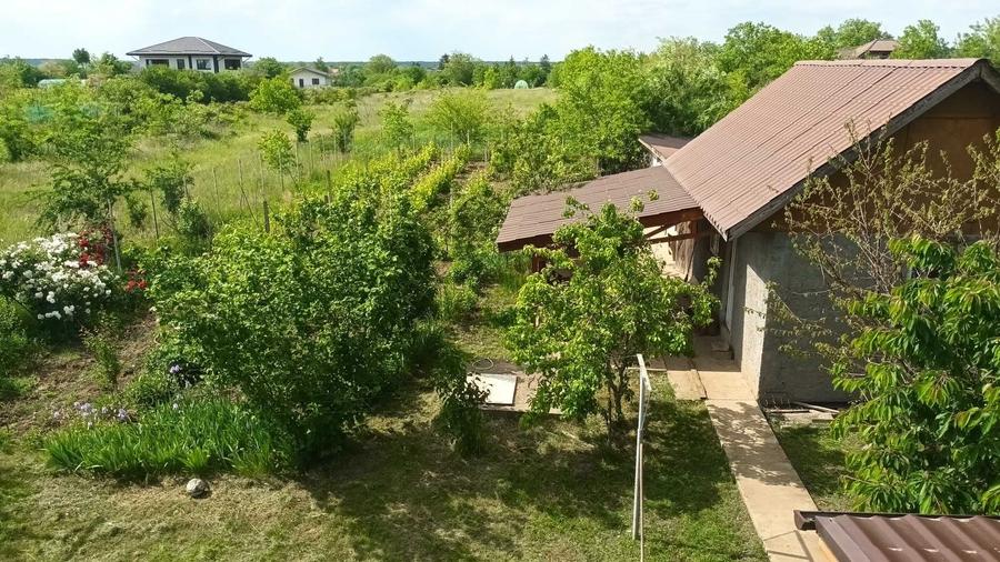 Casă cu 3 camere cu Teren 4250 Mp în Moara Vlăsiei