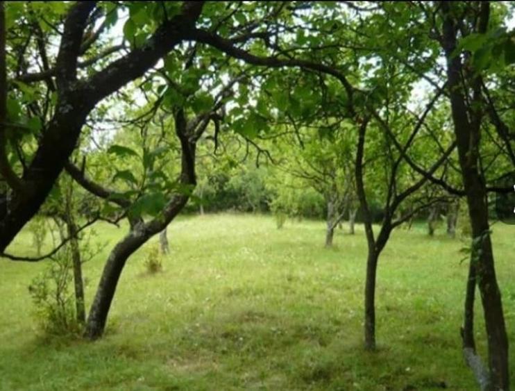 Teren de 3550 mp, în Teișani