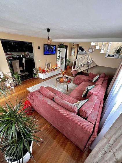 Casa de vanzare + casa mica - 4