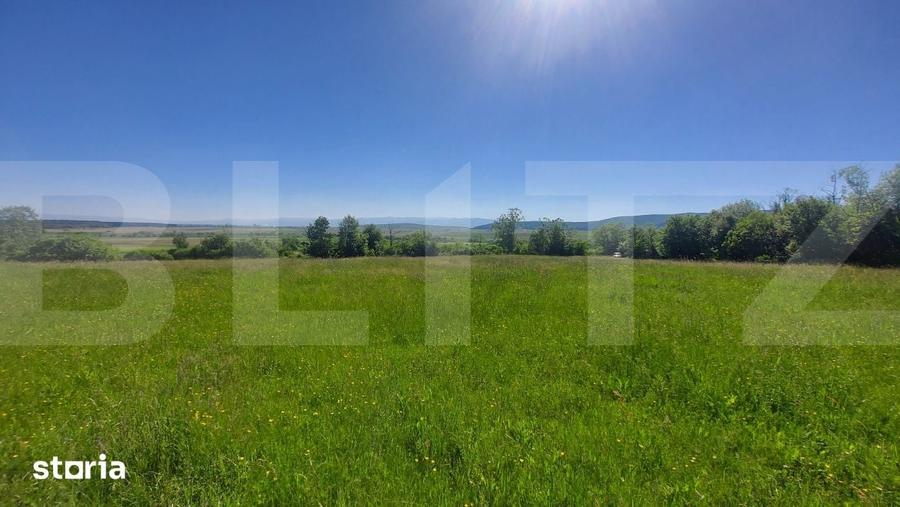 Teren de 36200 mp, în Ozun