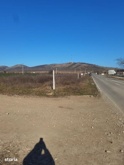 Teren de 1800 mp, în Mahmudia