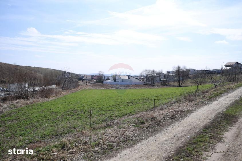Teren de 3500 mp, în Moara