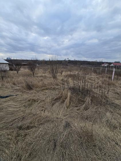 Teren Construcții intravilan de 6309 mp, în Izvoare