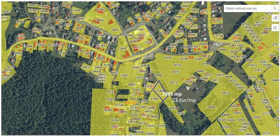Teren de 3000 mp, în Beliș
