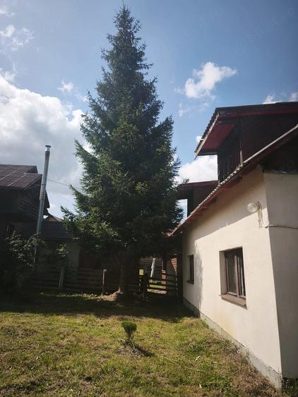 Teren de 800 mp, în Beliș