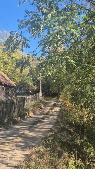 Teren de 3180 mp, în Săvârșin
