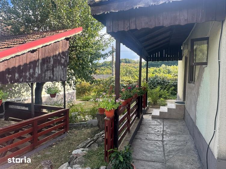 Casă cu 5 camere cu Teren 11000 Mp în Alimpești