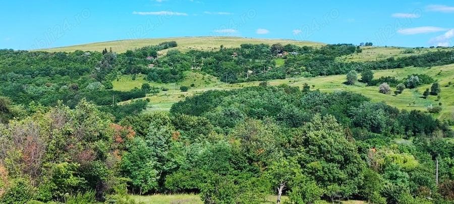 Teren de 5000 mp, în Boboci
