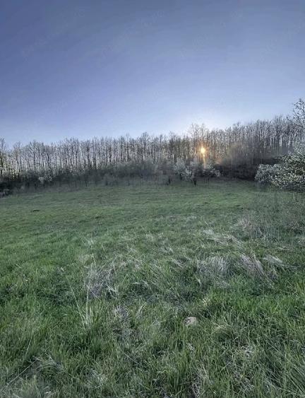 Teren de 4309 mp, în Căinelu de Jos