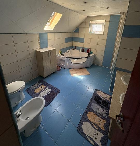 Casă cu 4 camere în Dârlos