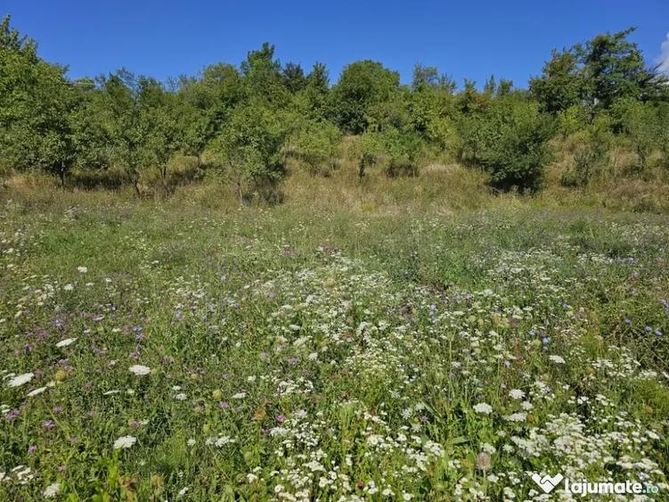 Casă cu 7 camere în Mărunțișu