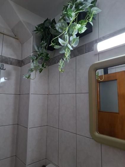 Ofer spre inchiriere apartament cu doua camere - 1