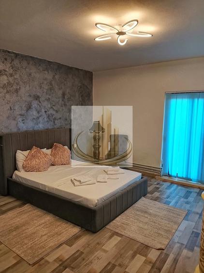 Casa cu 3 unita?i de cazare in regim hotelier Zona Traian, Timi?oara - 11