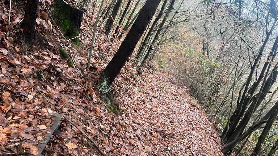 Teren de 20000 mp, în Brusturi