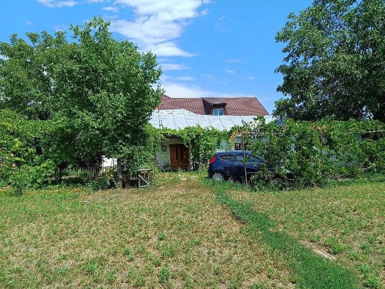 Teren de 1555 mp, în Central