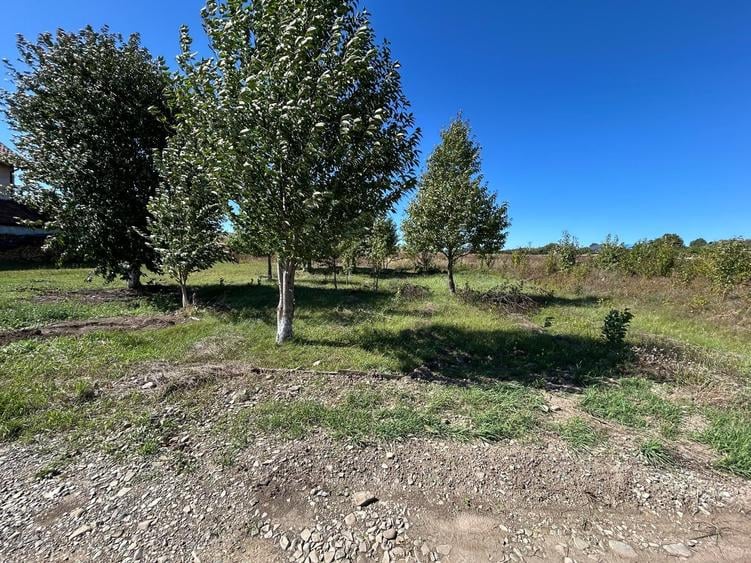 Teren Construcții intravilan de 500 mp, în Turturești