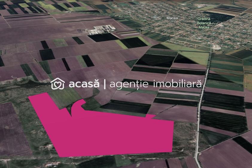 Teren agricol extravilan de 424700 mp, în Macea