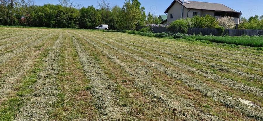 Teren de 1100 mp, în Orăști