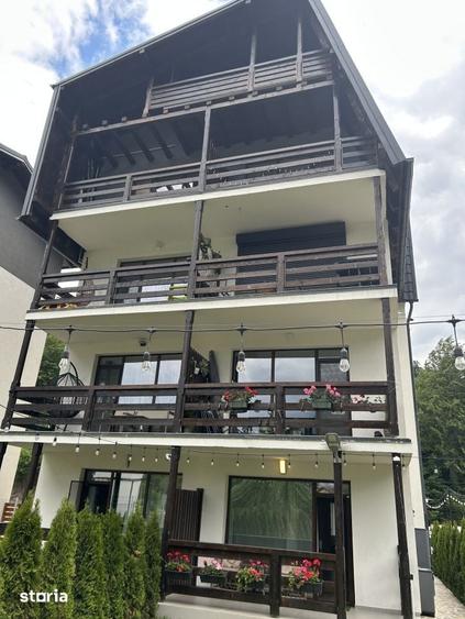 Apartament Lux &Business la cheie: cu vedere la munte, curte, foisor s - 19