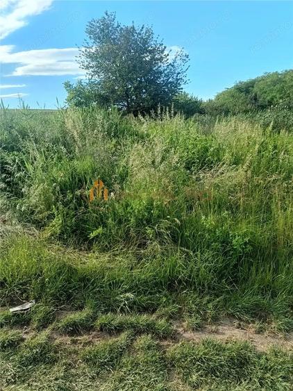 Teren de 3600 mp, în Valea Lungă