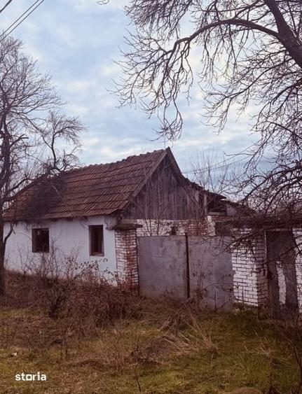 Casă cu 4 camere cu Teren 1388 Mp în Răpsig
