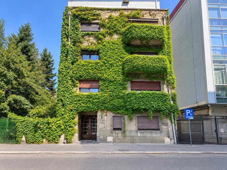 Apartament cu 3 camere semidecomandat, mobilat în Pache Protopopescu